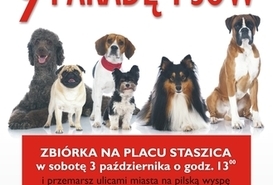 9. Parada psów