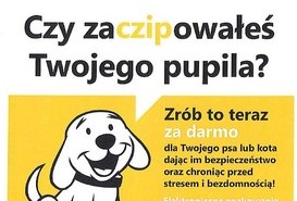 Nieodpłatne czipowanie zwierząt 