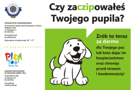 Zaczipuj swojego pupila!