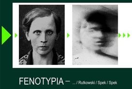 Fenotypia –  ... / Rutkowski / Spek / Spek