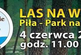 LAS NA WYSPIE.