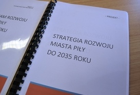 Spotkanie podsumowujące prace nad Strategią rozwoju miasta Piły do 2035 roku.