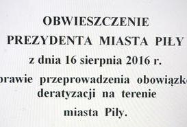 Obowiązkowa deratyzacja w Pile. 