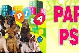 10 Parada Psów