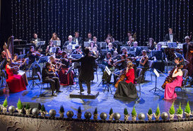 Koncert Noworoczny.