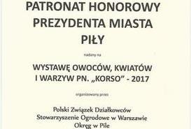 Honorowe patronaty Prezydenta Miasta Piły.