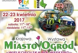 Krajowa Wystawa Miasto Ogród