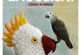 WDK w RCK: 2 x KINO CZESKIE