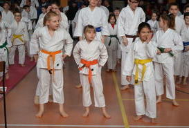 VI Ogólnopolski Turniej Karate Shotokan.