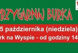 5 października Przygarnij Burka!