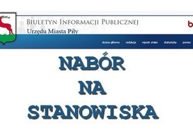Ogłoszenia o naborze na stanowiska w Urzędzie Miasta Piły