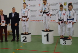 Puchar Polski Seniorów w judo