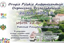 DRUGIE PILSKIE AUTOPREZENTACJE ORGANIZACJI POZARZĄDOWYCH