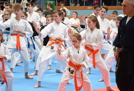 VIII Ogólnopolski Turniej Karate Tradycyjnego