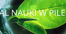 XIII FESTIWAL NAUKI