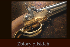 Wystawa: Zbiory pilskich kolekcjonerów - Zenon Misiak