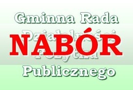 Nabór kandydatów do Gminnej Rady Działalności Pożytku Publicznego Miasta Piły III Kadencji