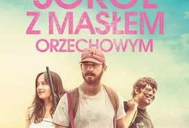 WDK: Sokół z masłem orzechowym