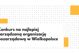 Konkurs na najlepiej zarządzaną organizację pozarządową w Wielkopolsce