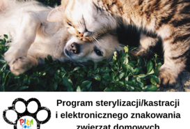 Rusza program kastracji/sterylizacji i znakowania psów i kotów