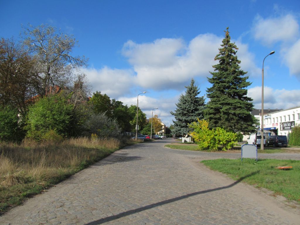 Stara ulica wyłożona kamieniami, po prawej stronie widać zabudowania i pas zieleni. Po lewej stronie pas zieleni.