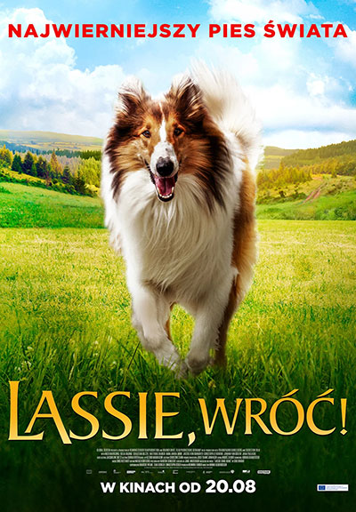 plakat filmu, napis najwierniejszy pies świata, pies biegnący po zielonej łące